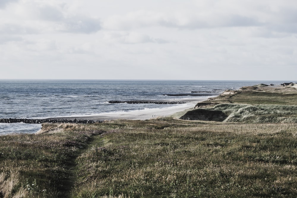 green grass field near sea under white clouds during daytime