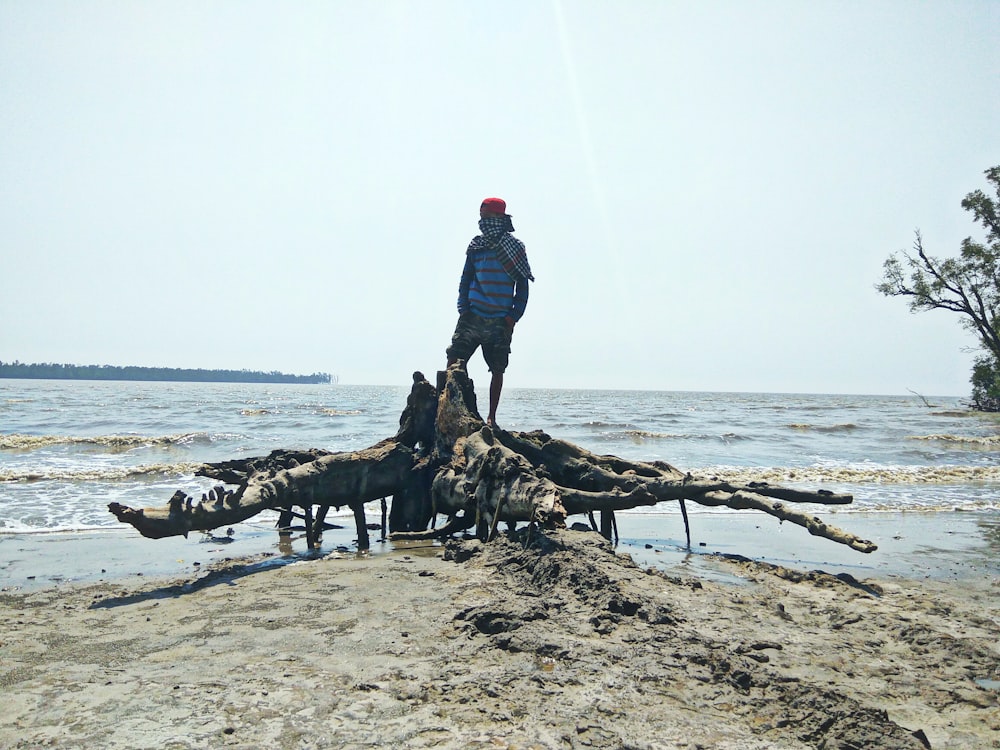 man in black jacket standing on beach with dogs during daytime