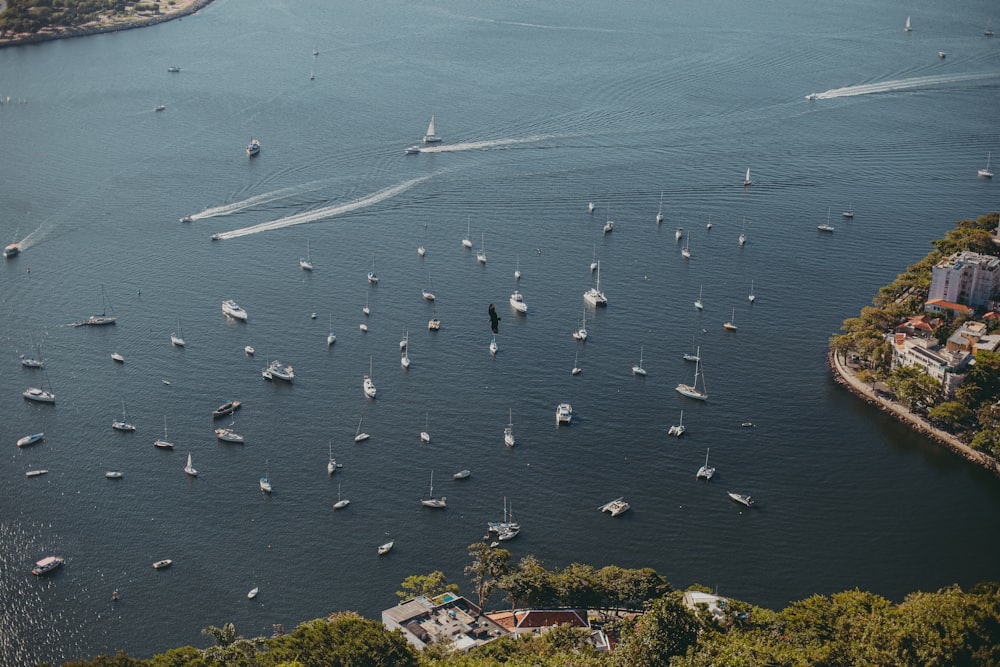birds eye view of boats on sea during daytime