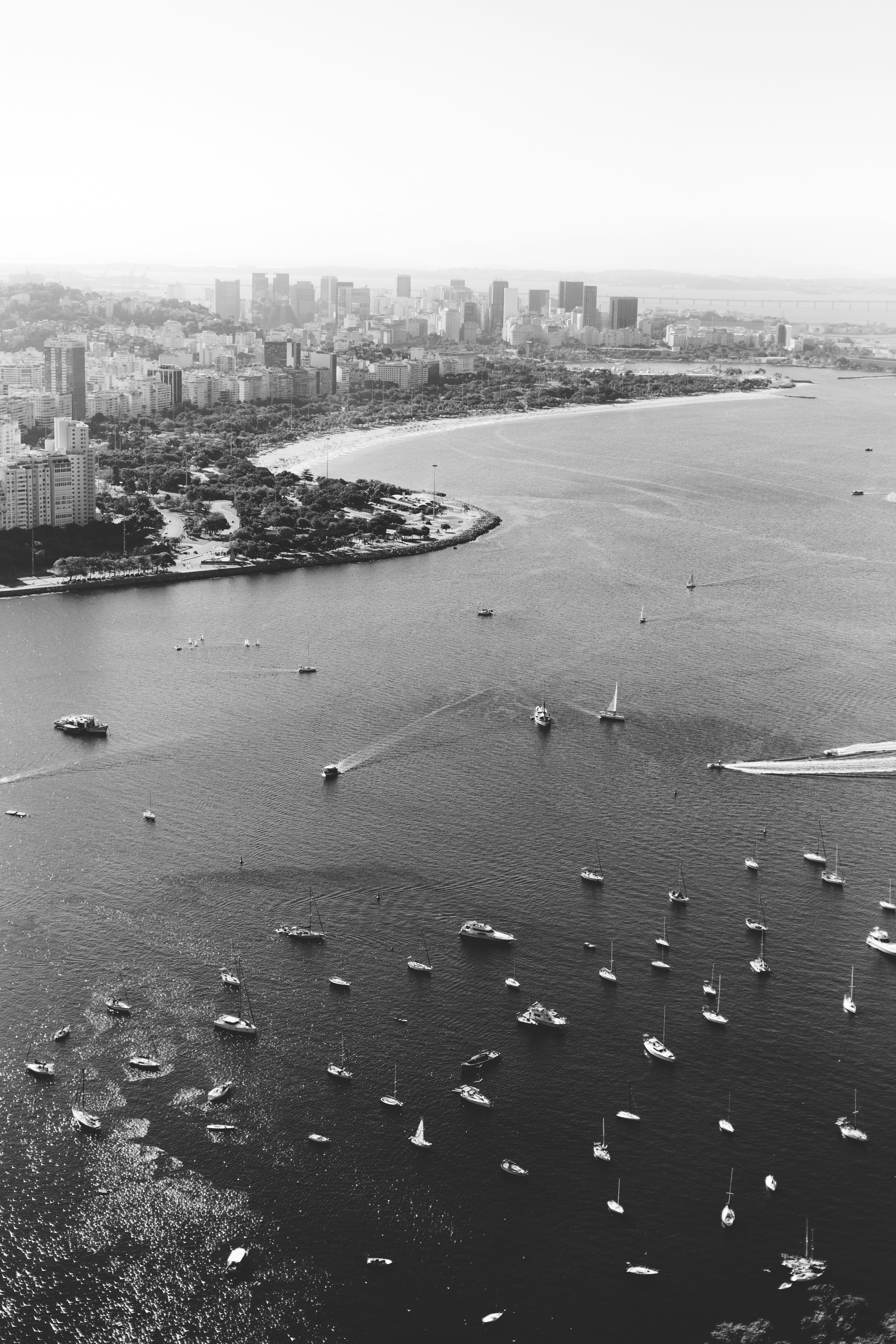 grayscale photo of people on beach