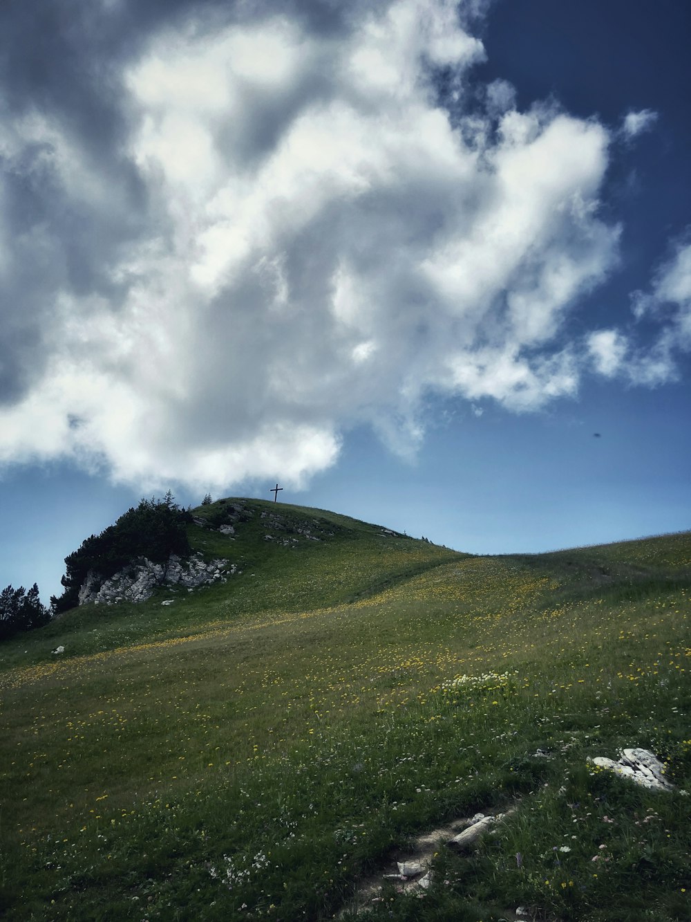 green grass field under white clouds and blue sky during daytime