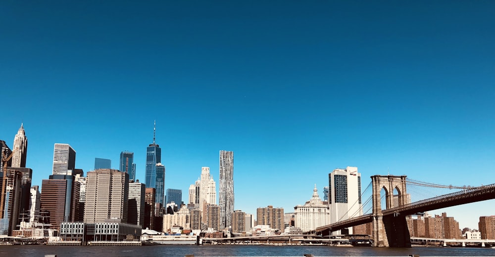 city skyline under blue sky during daytime