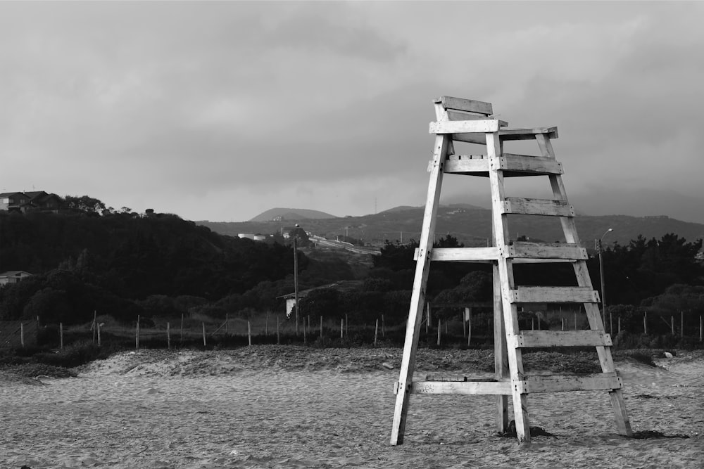 grayscale photo of wooden ladder on field