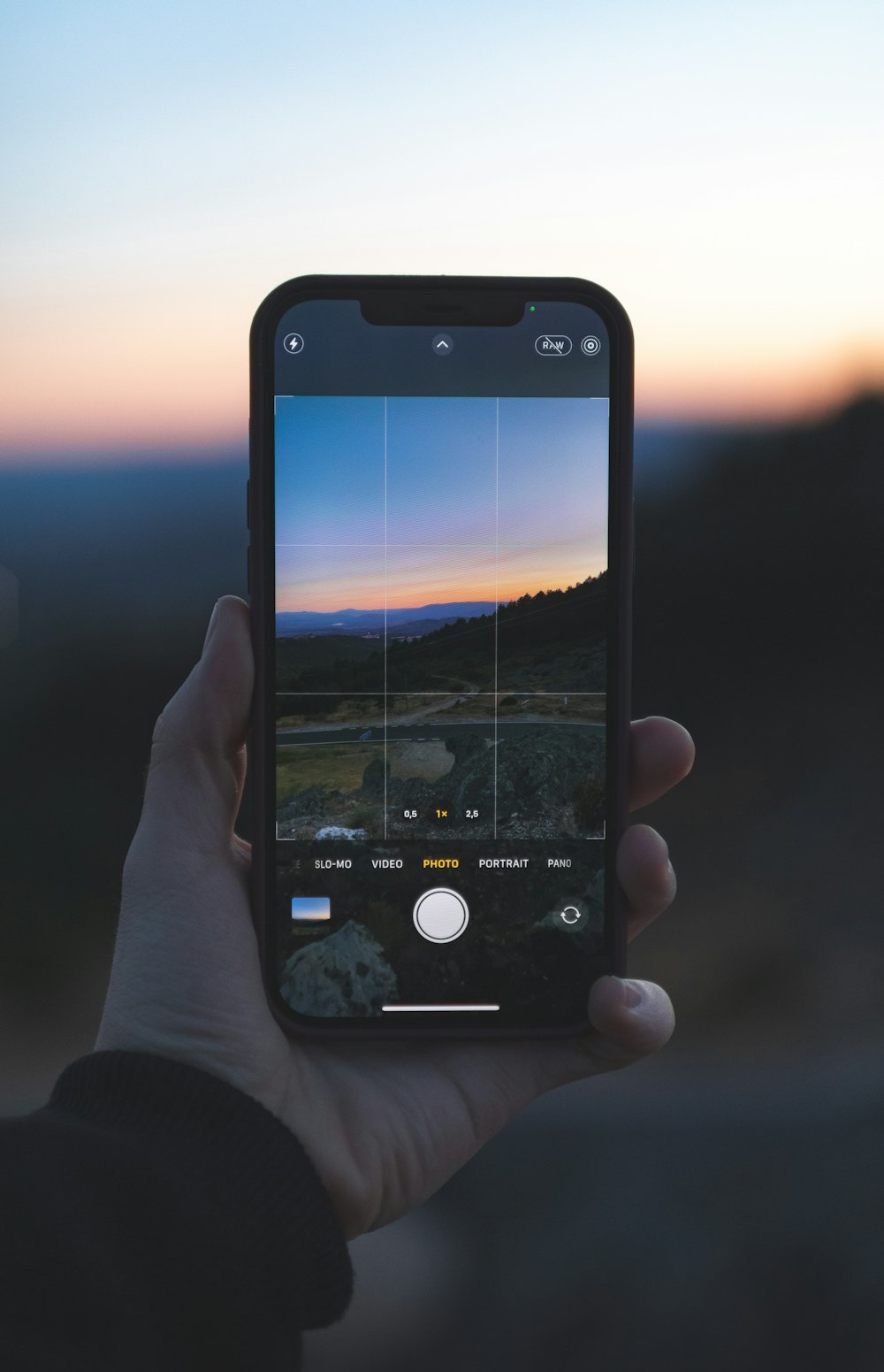 person holding iphone 6 taking photo of trees during sunset