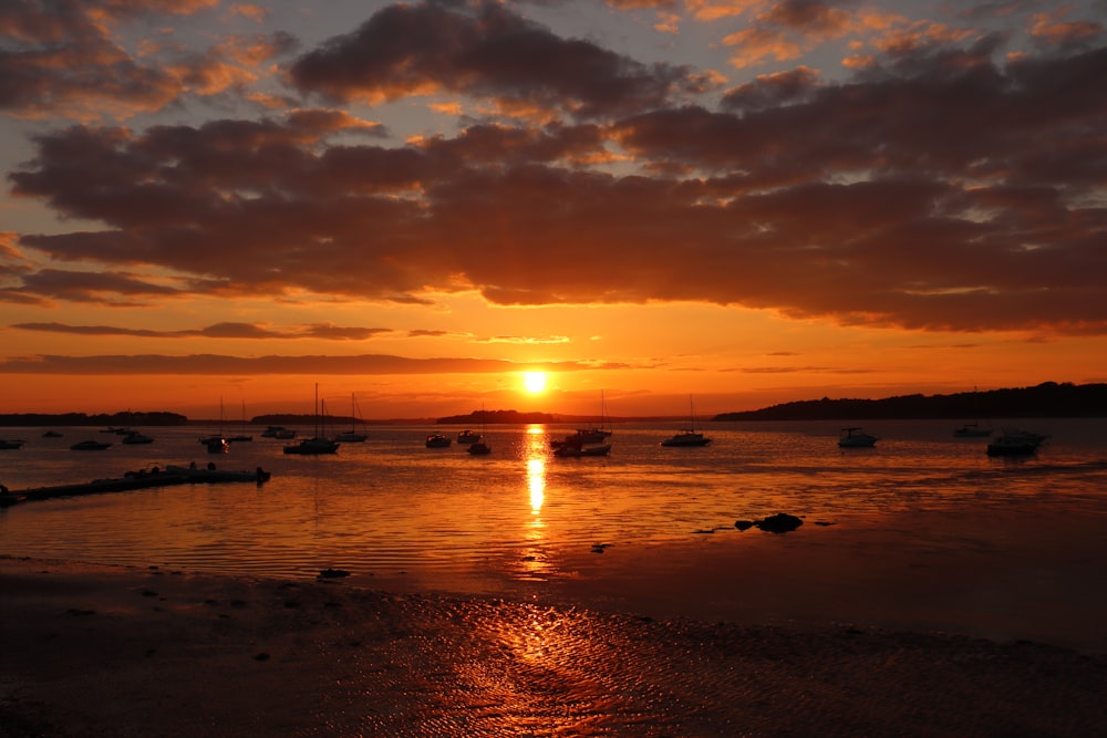 silhouette of people on beach during sunset