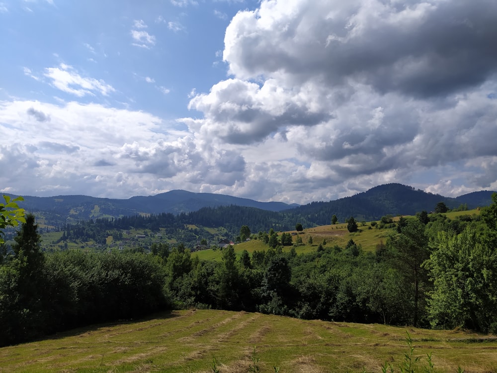 green trees under white clouds and blue sky during daytime