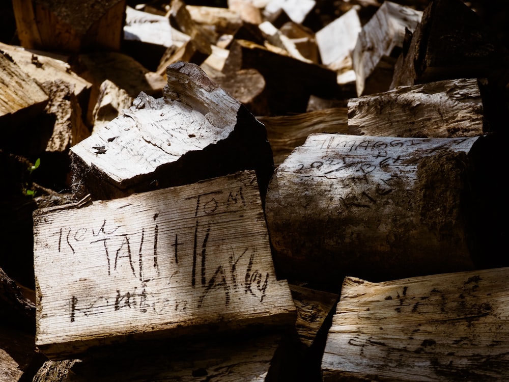 brown and gray wood log