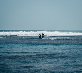 people on beach during daytime