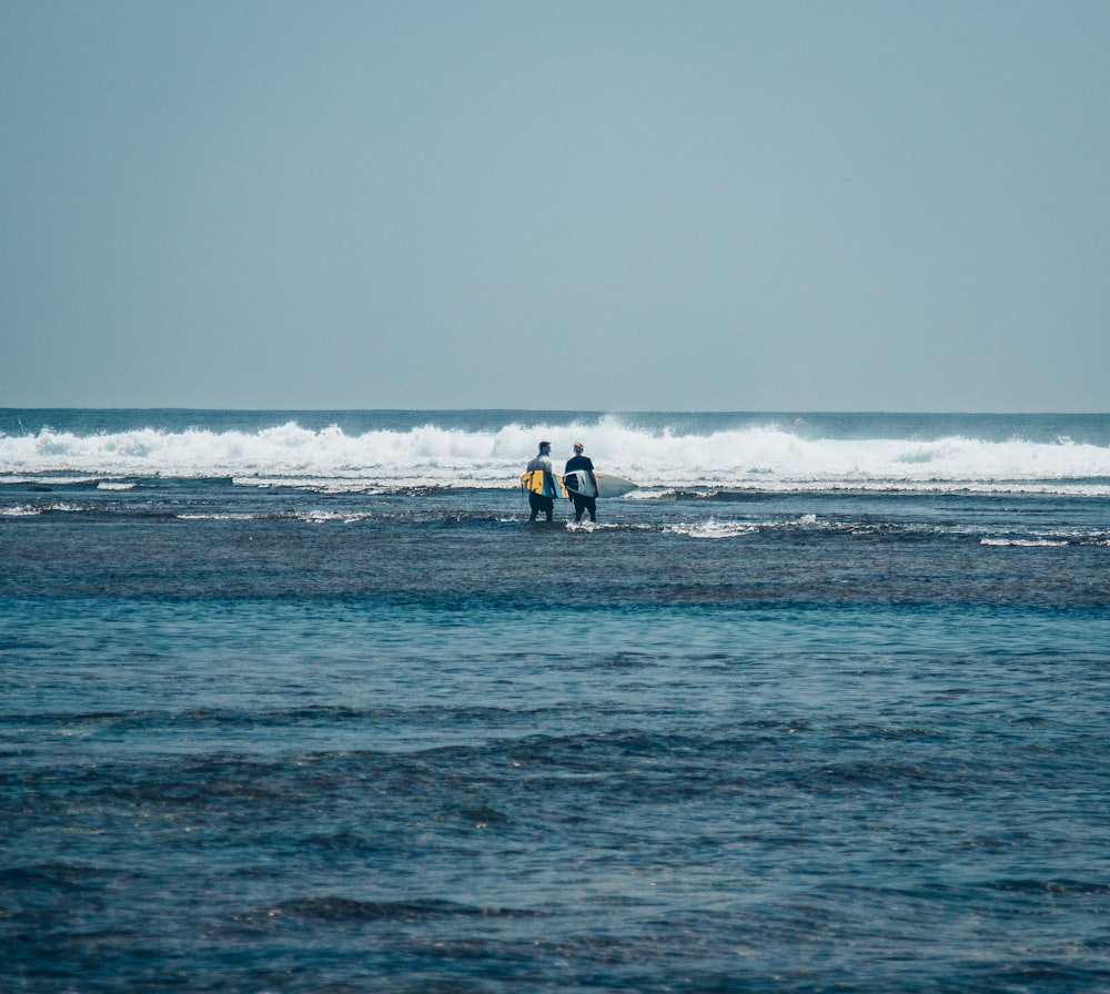 people on beach during daytime