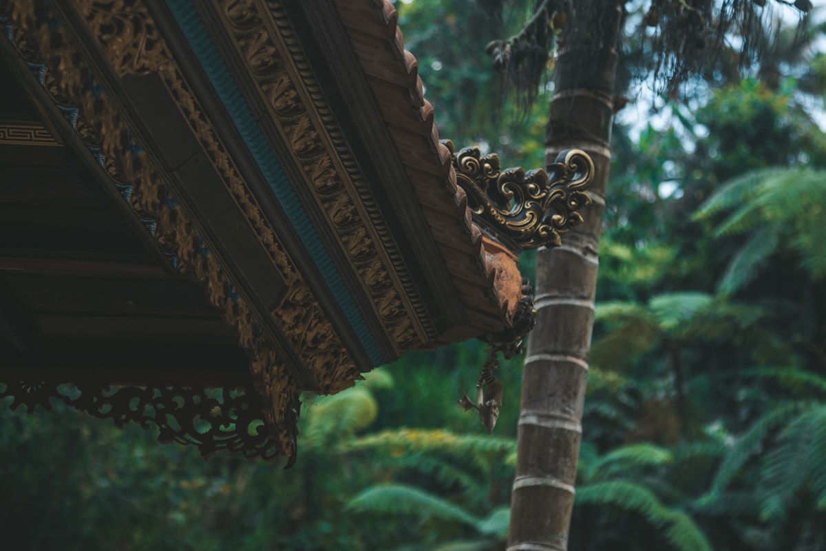 brown wooden roof near green trees during daytime