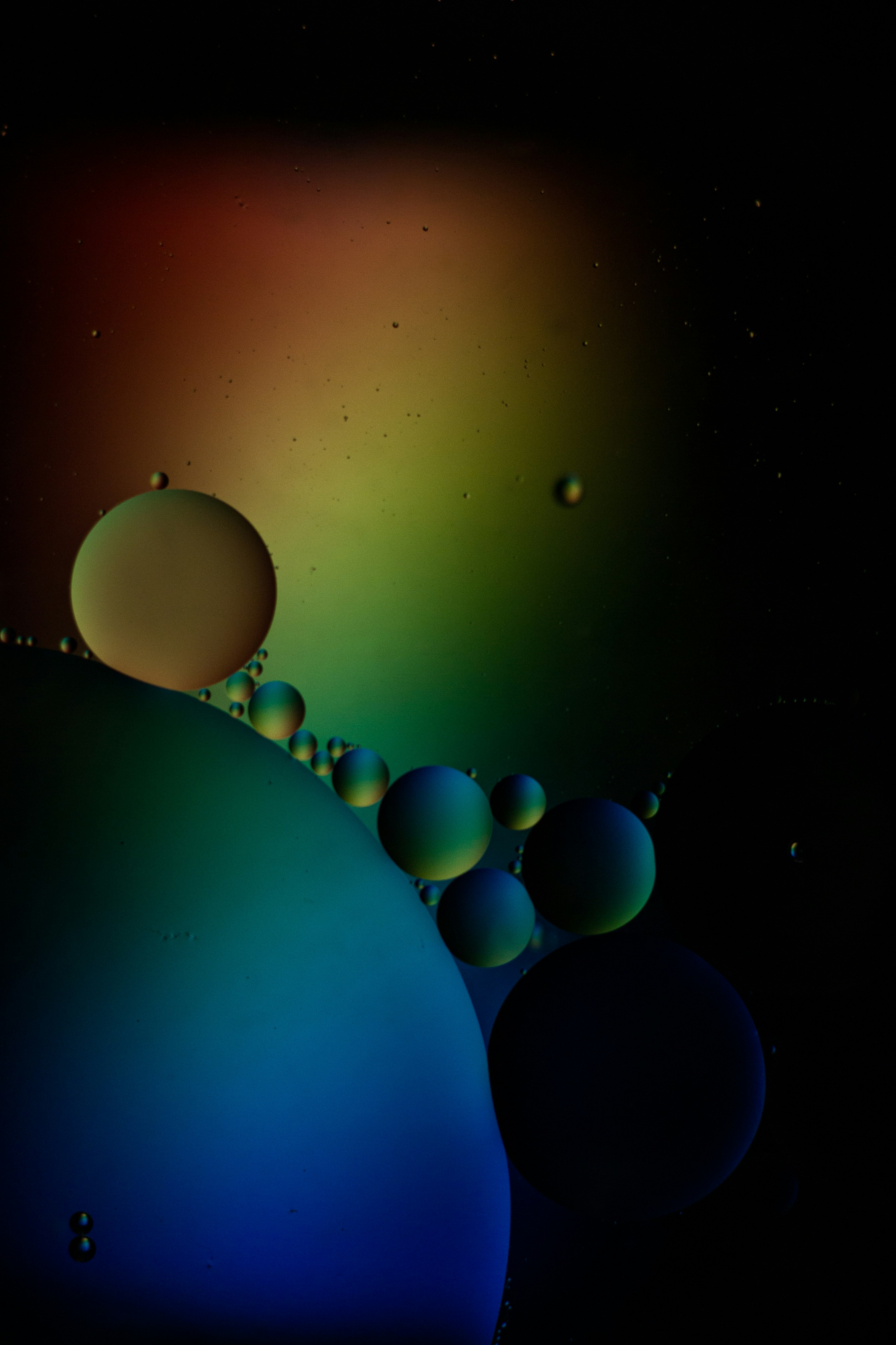 blue and white balloons on sky