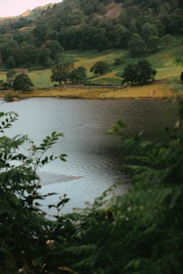 A serene landscape featuring a pristine lake surrounded by lush greenery.