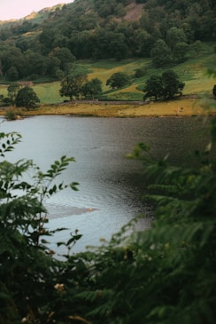 A serene landscape featuring a calm lake surrounded by lush greenery.