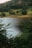 A serene view of a lush green landscape with a tranquil lake in the foreground.