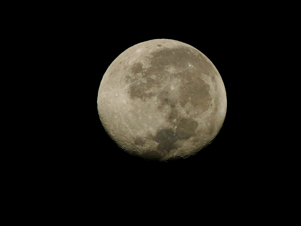 yellow full moon on black background