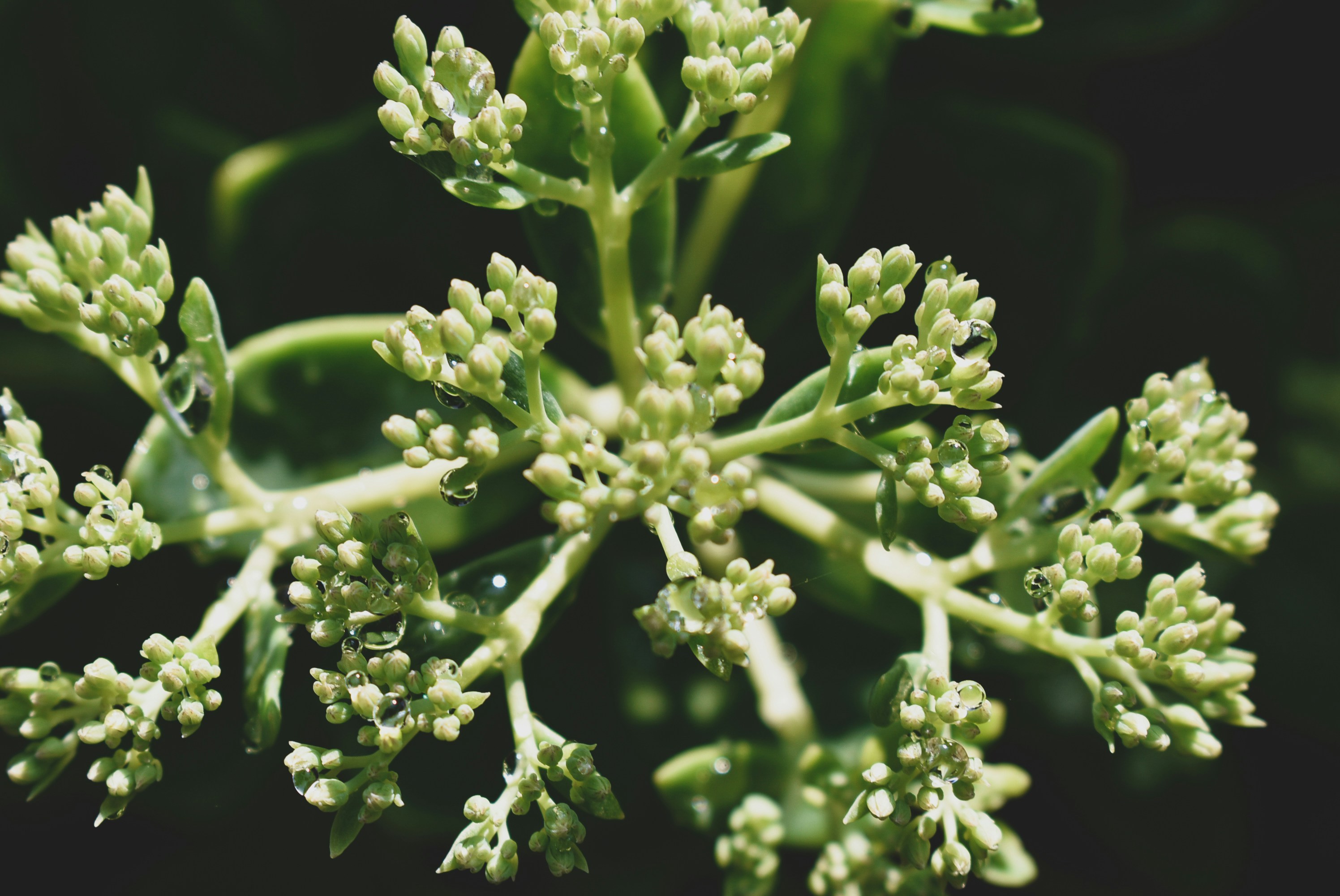 Photo by emilio_geremia