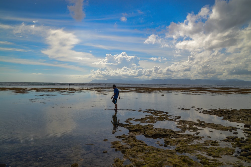 person walking on seashore during daytime