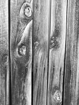 Close-up of wood grain texture on a durable composite fence panel.