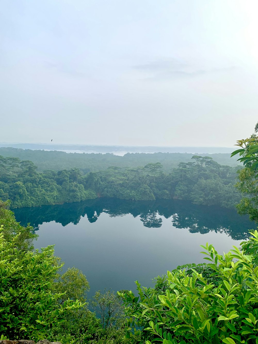 green trees near river during daytime