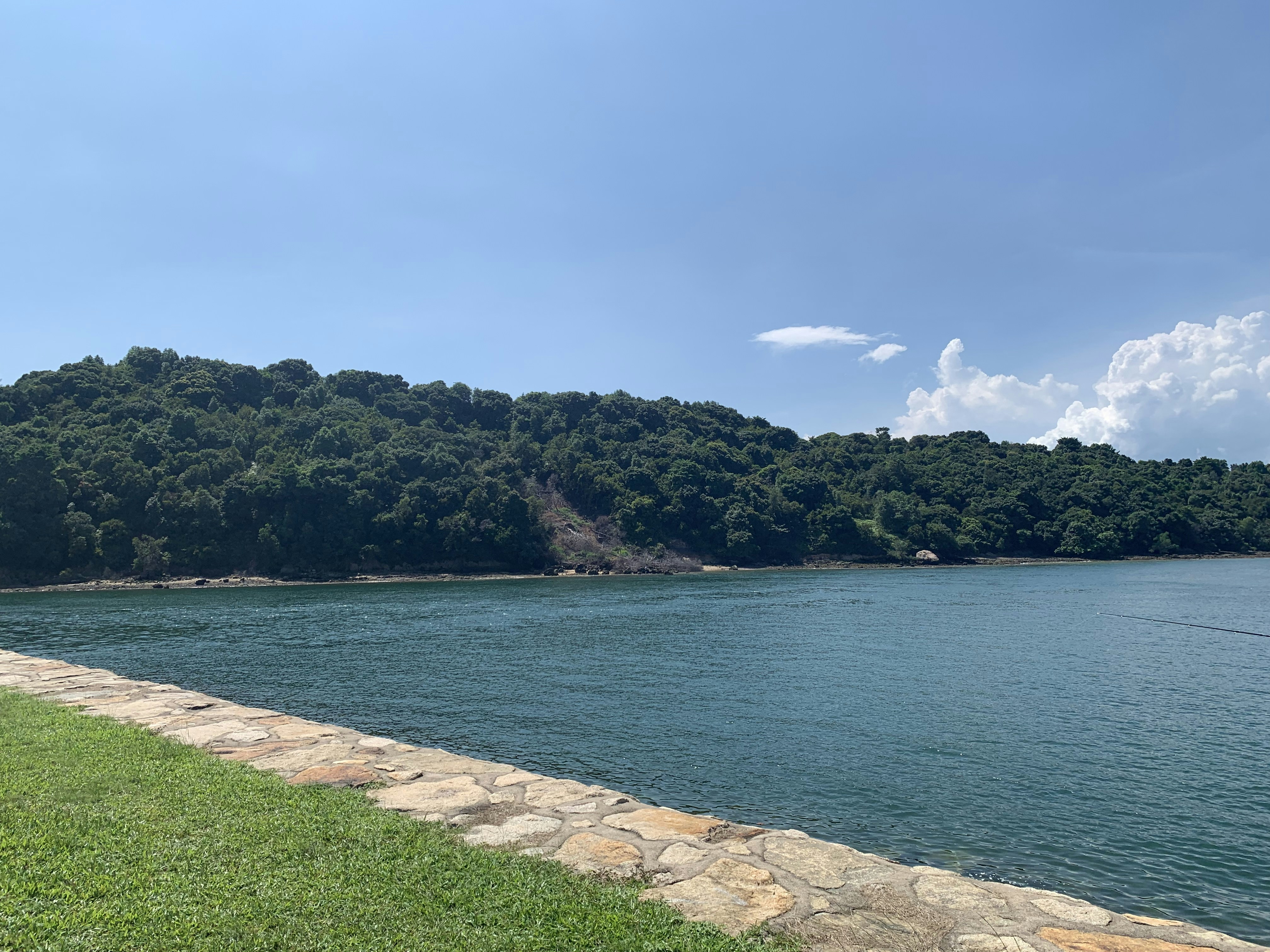 body of water near green trees under blue sky during daytime