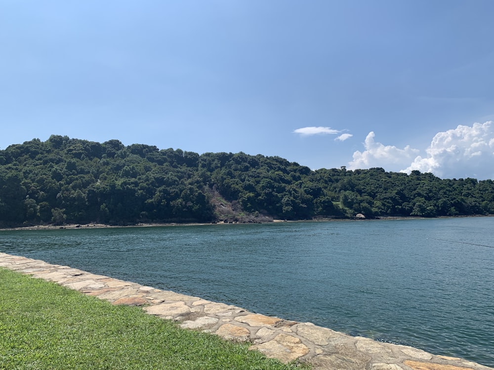 昼間の青空の下、緑の木々の近くの水域