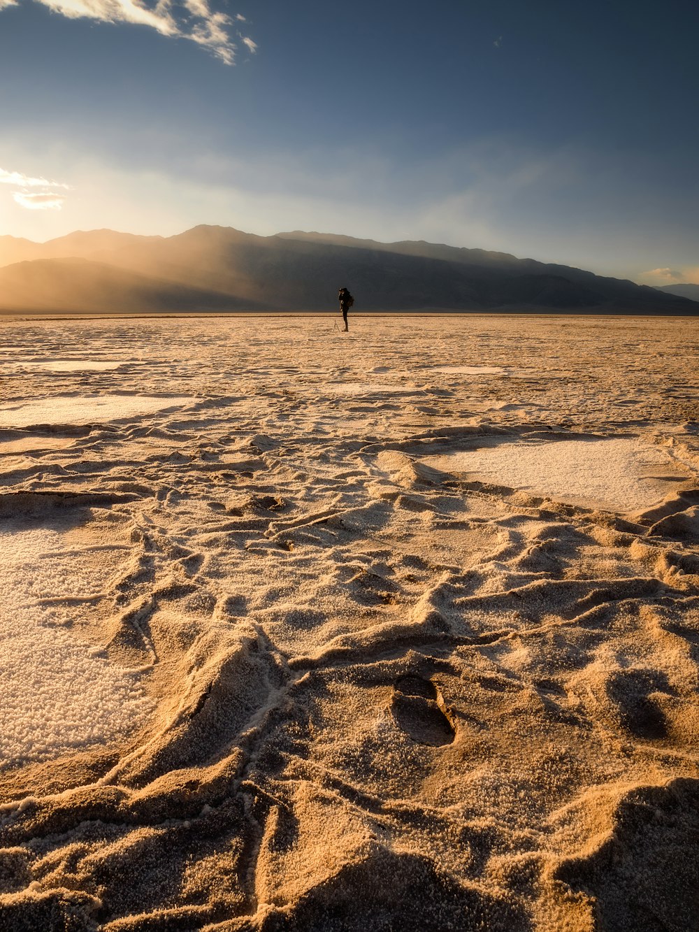 person walking on beach during daytime