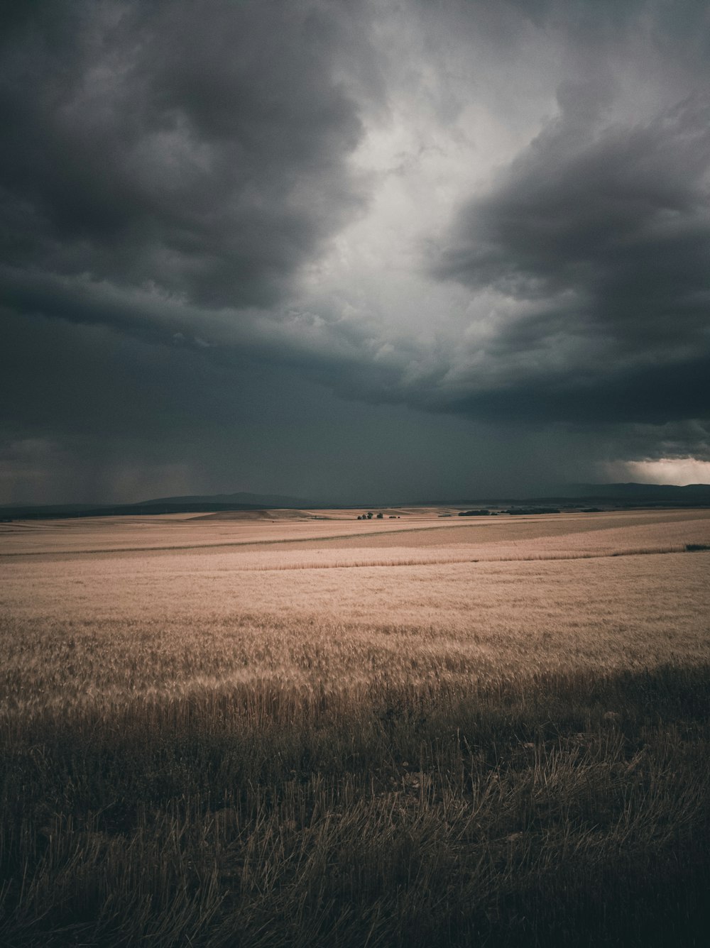 brown grass field under cloudy sky during daytime