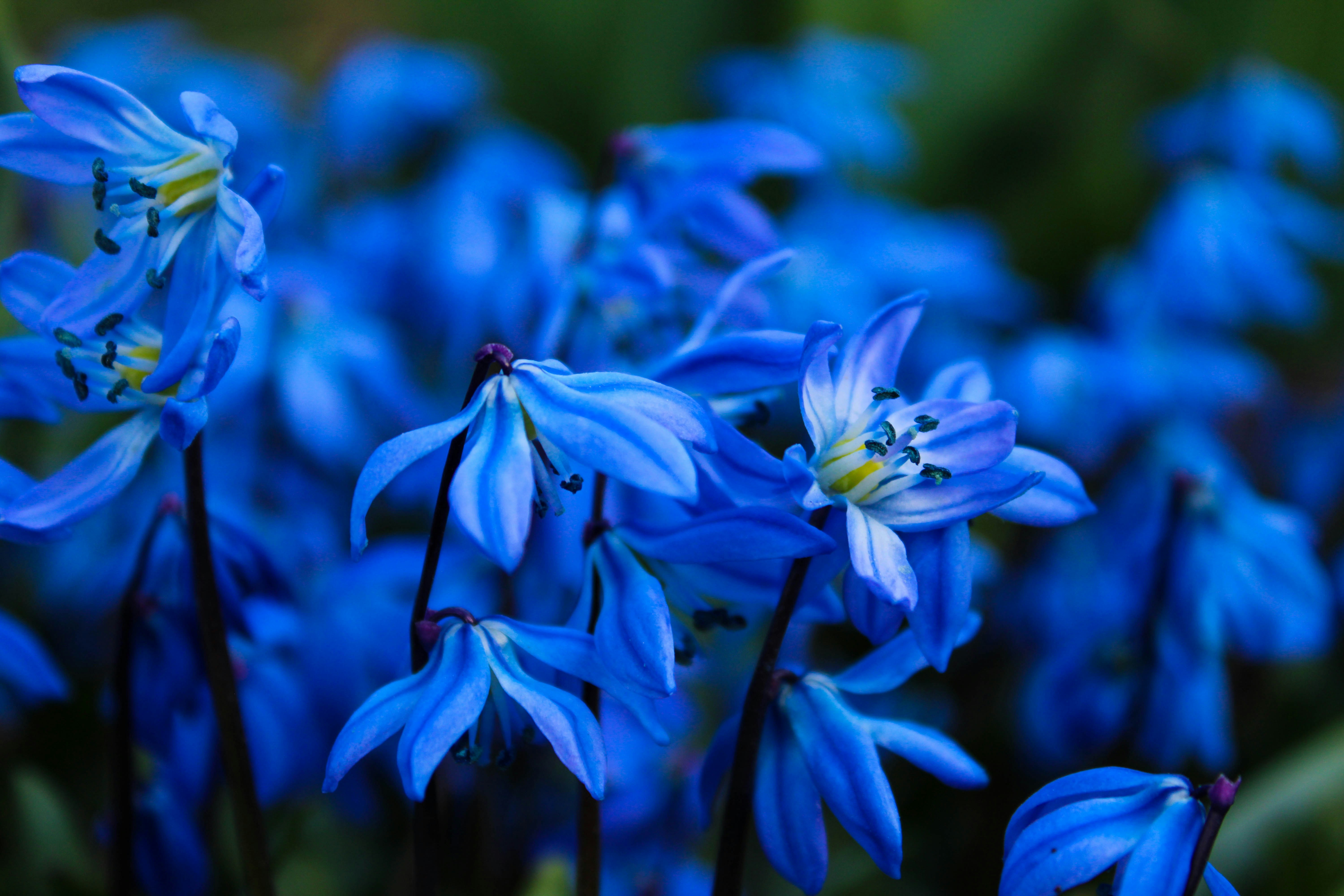 Photo by pinkyprinses