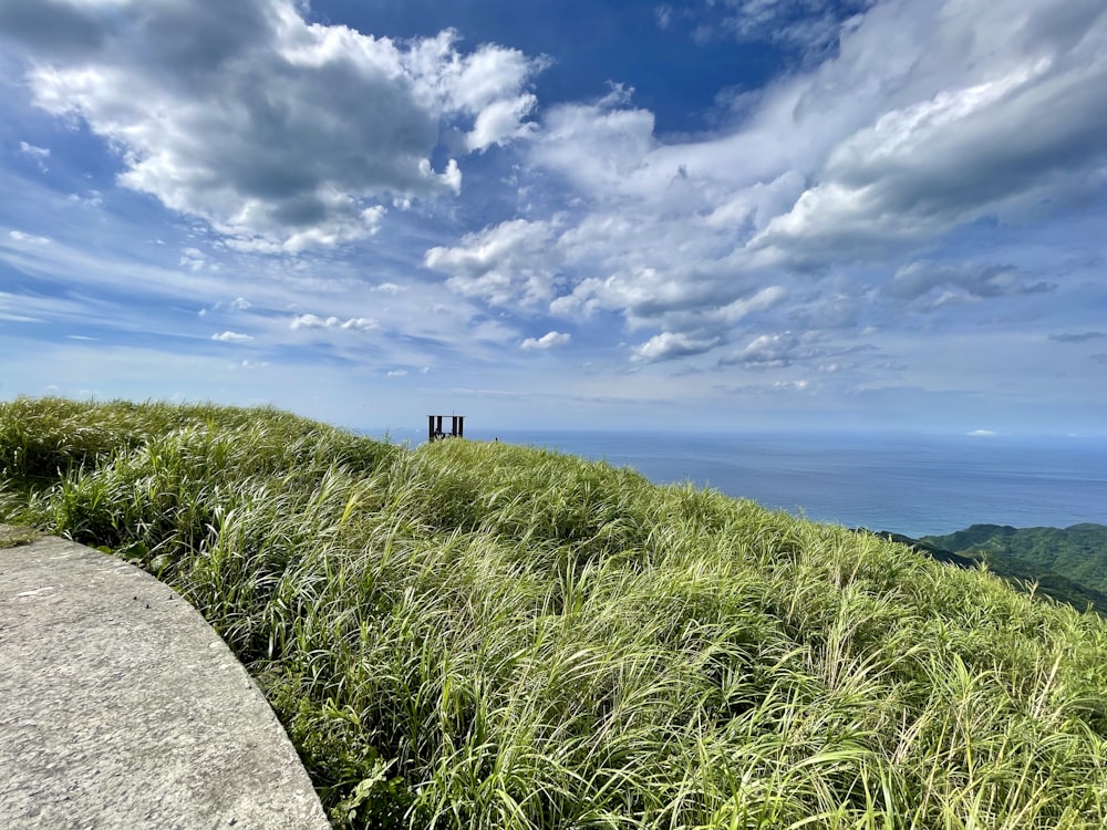 green grass near body of water under blue sky during daytime