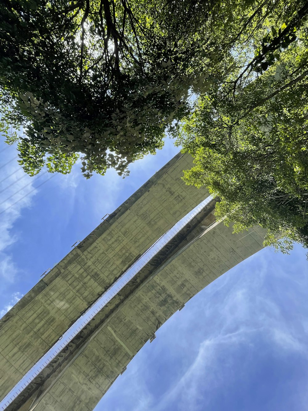 green trees under blue sky during daytime