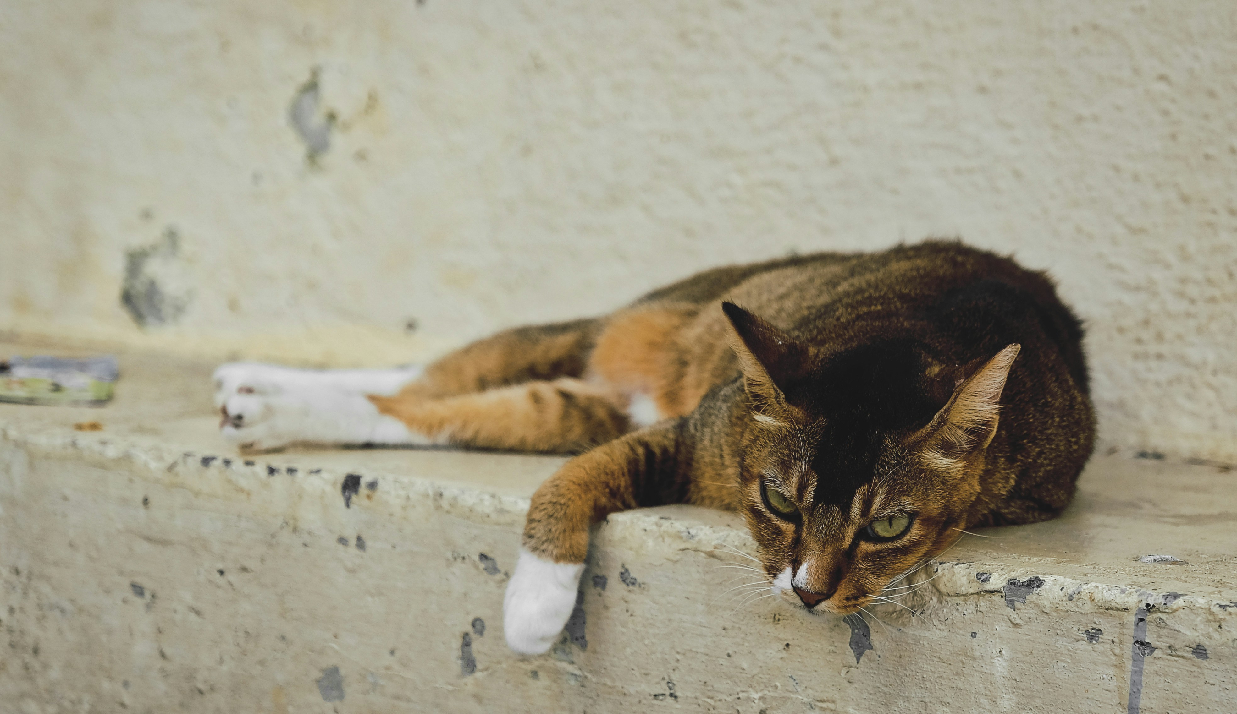 Photo by xiaomie99999