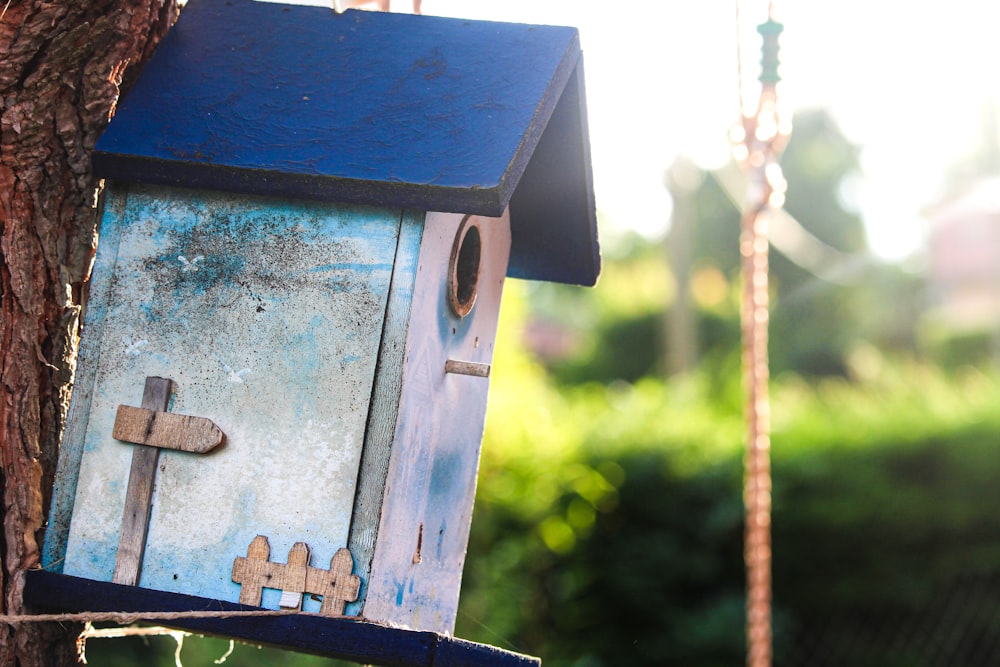 blue and brown wooden bird house