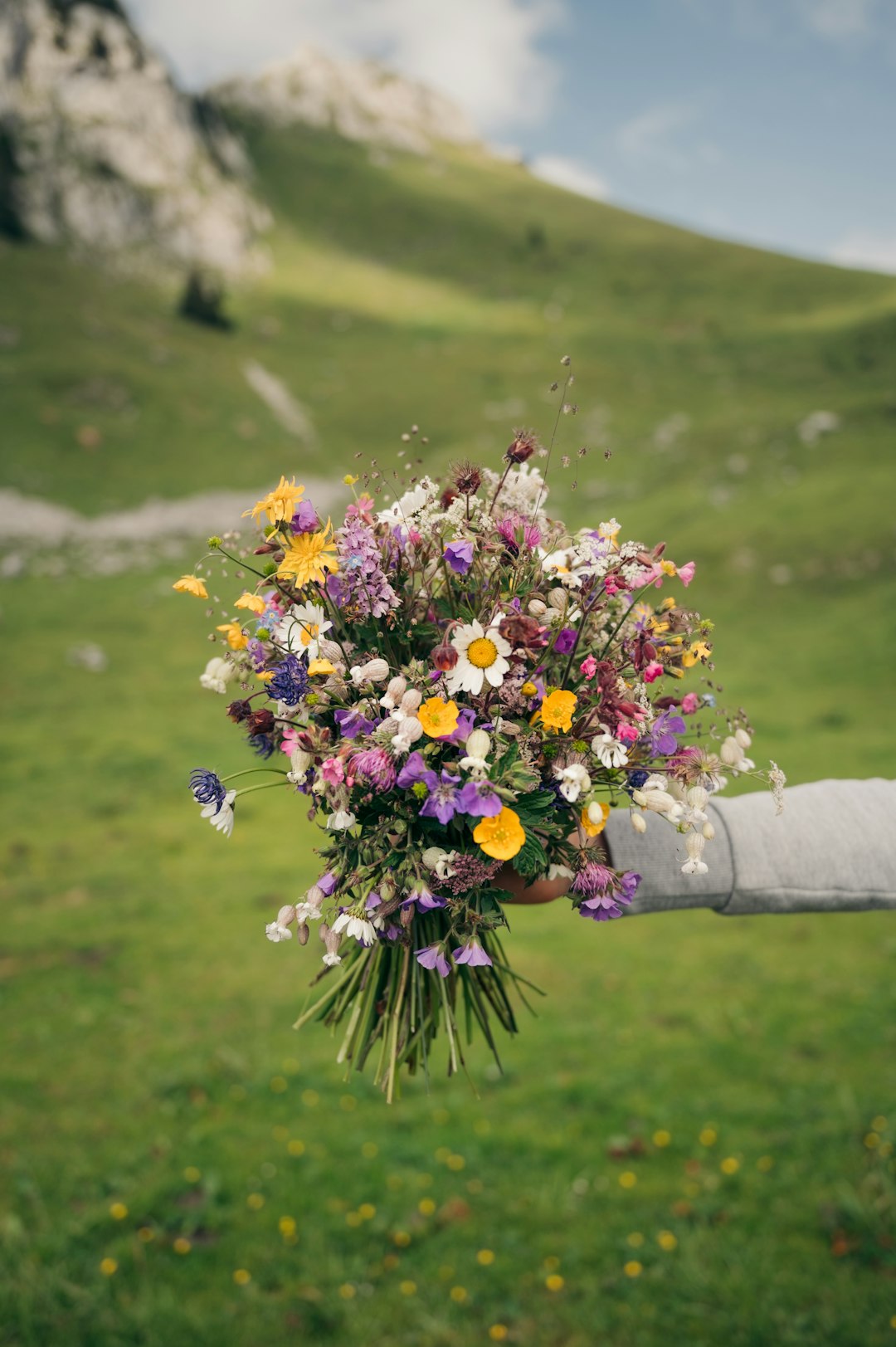 white and pink flowers on gray concrete post