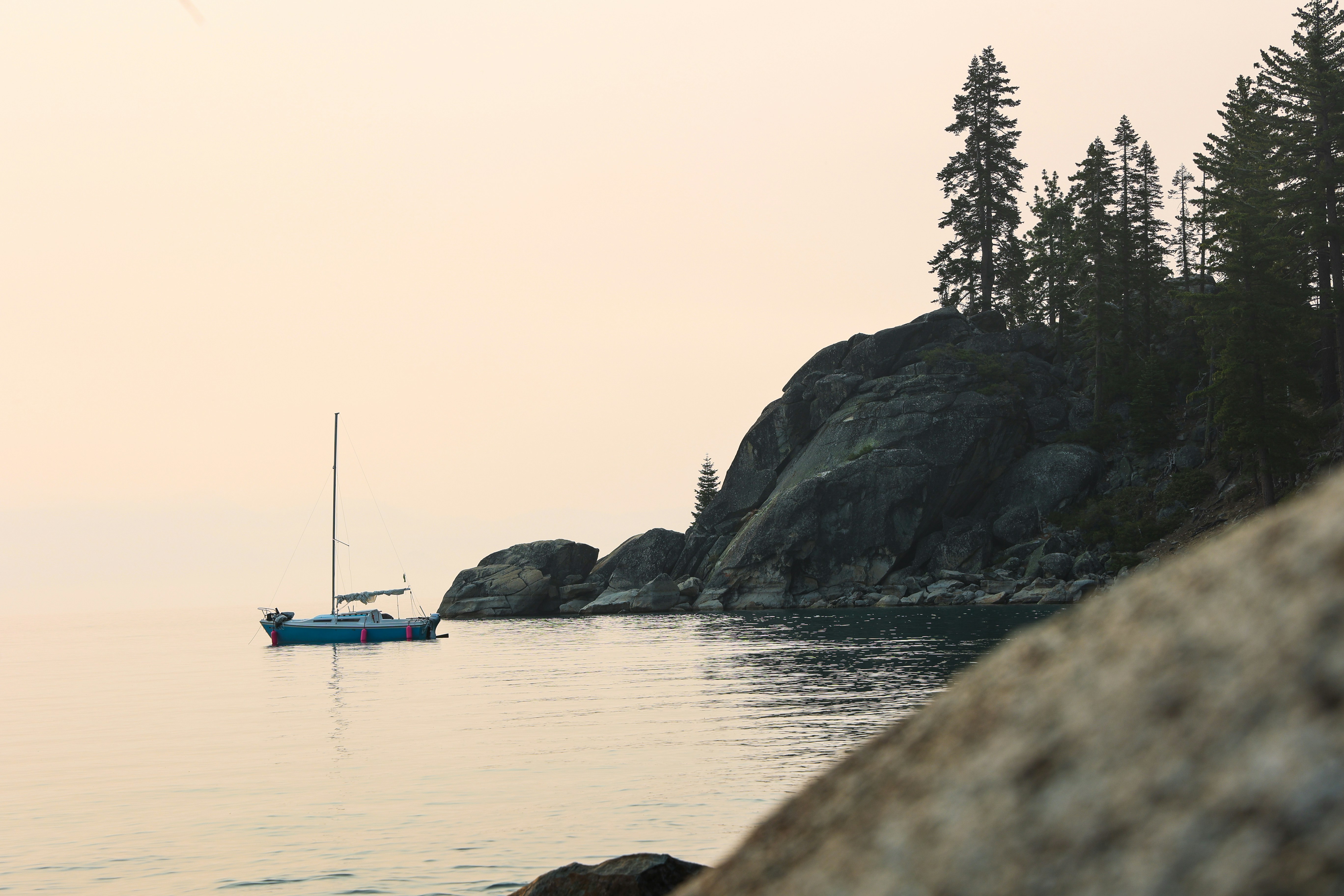 blue and white boat on sea near green trees during daytime