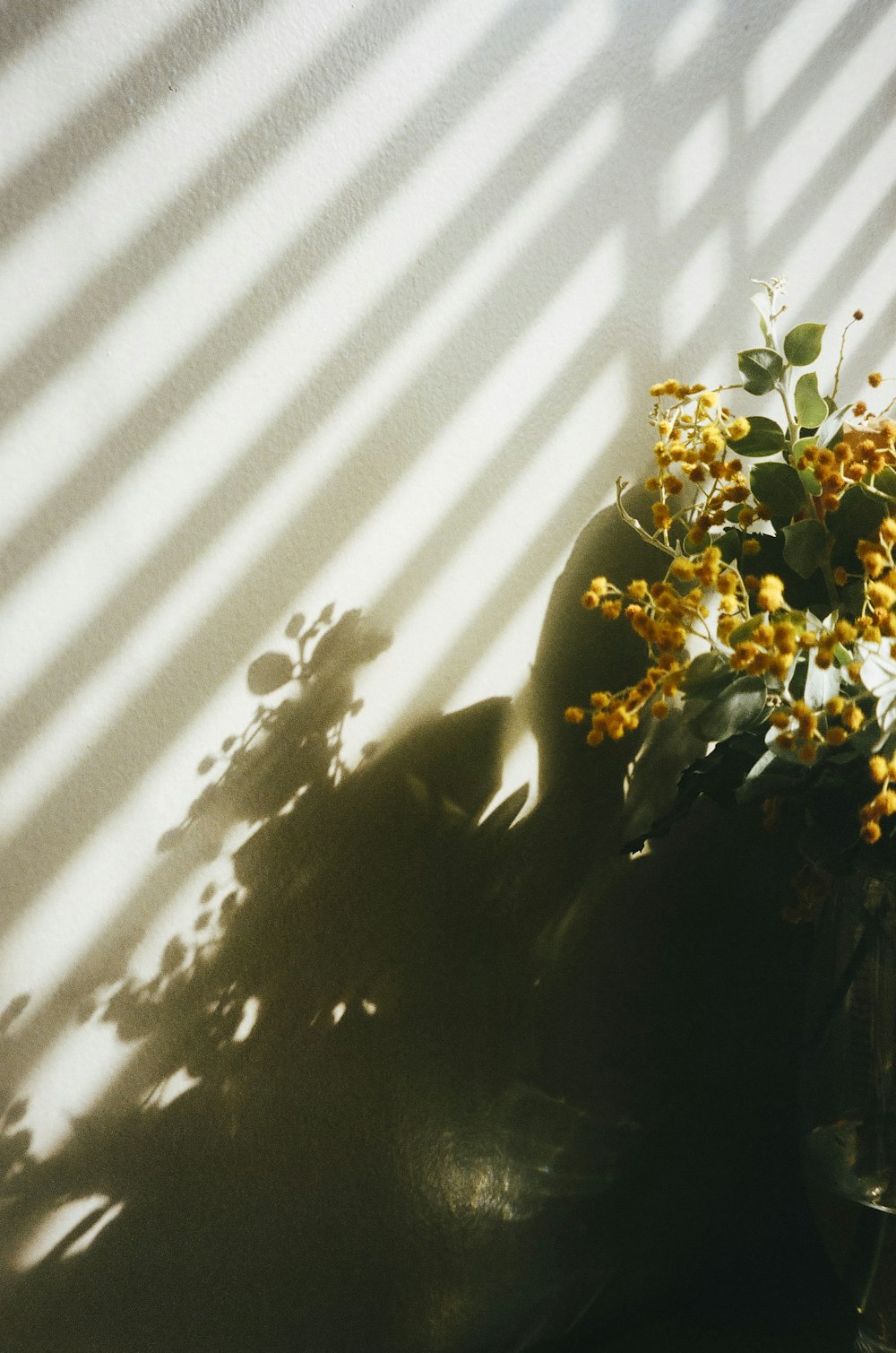 white flower on white window curtain