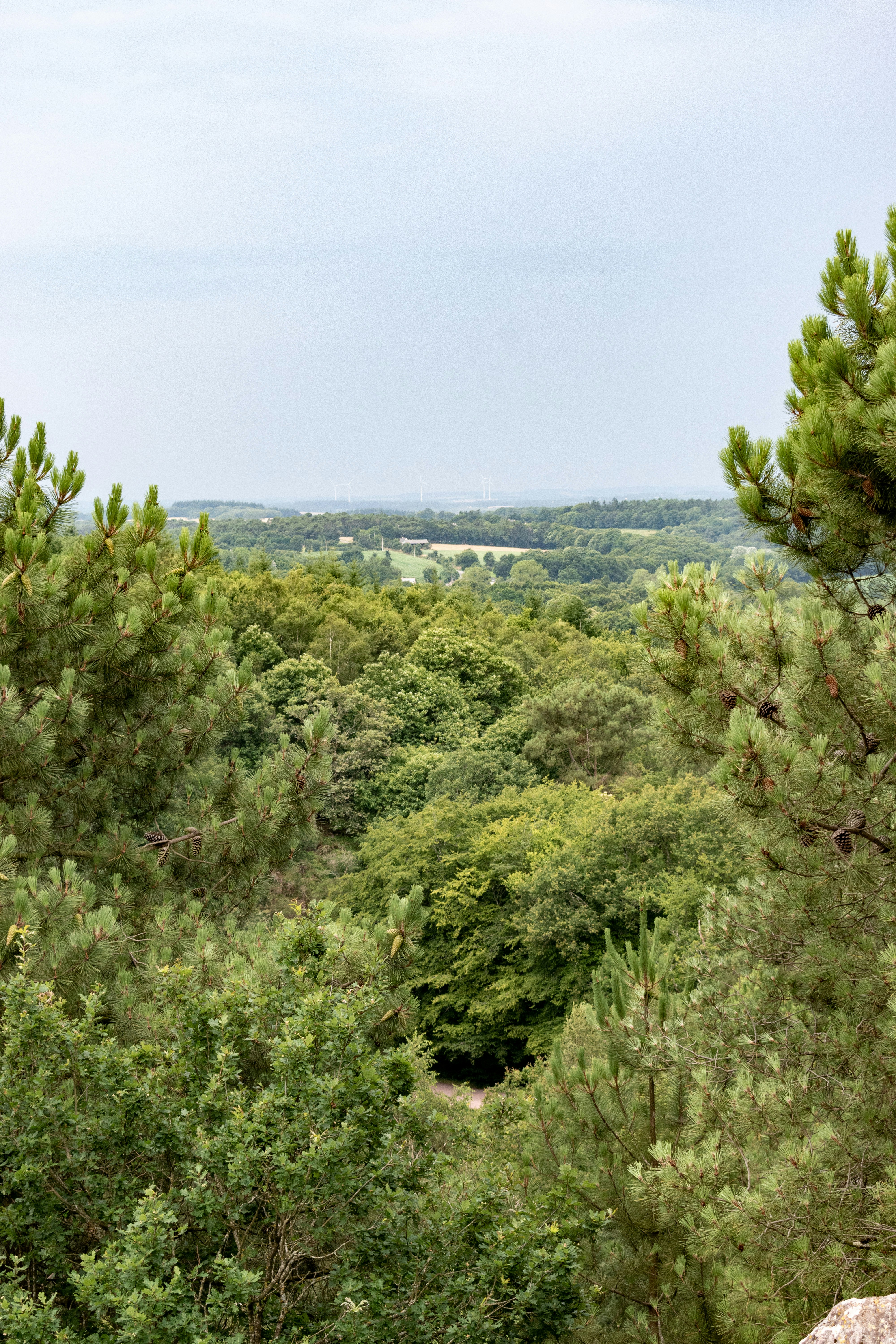 Photo by guiguiblitz