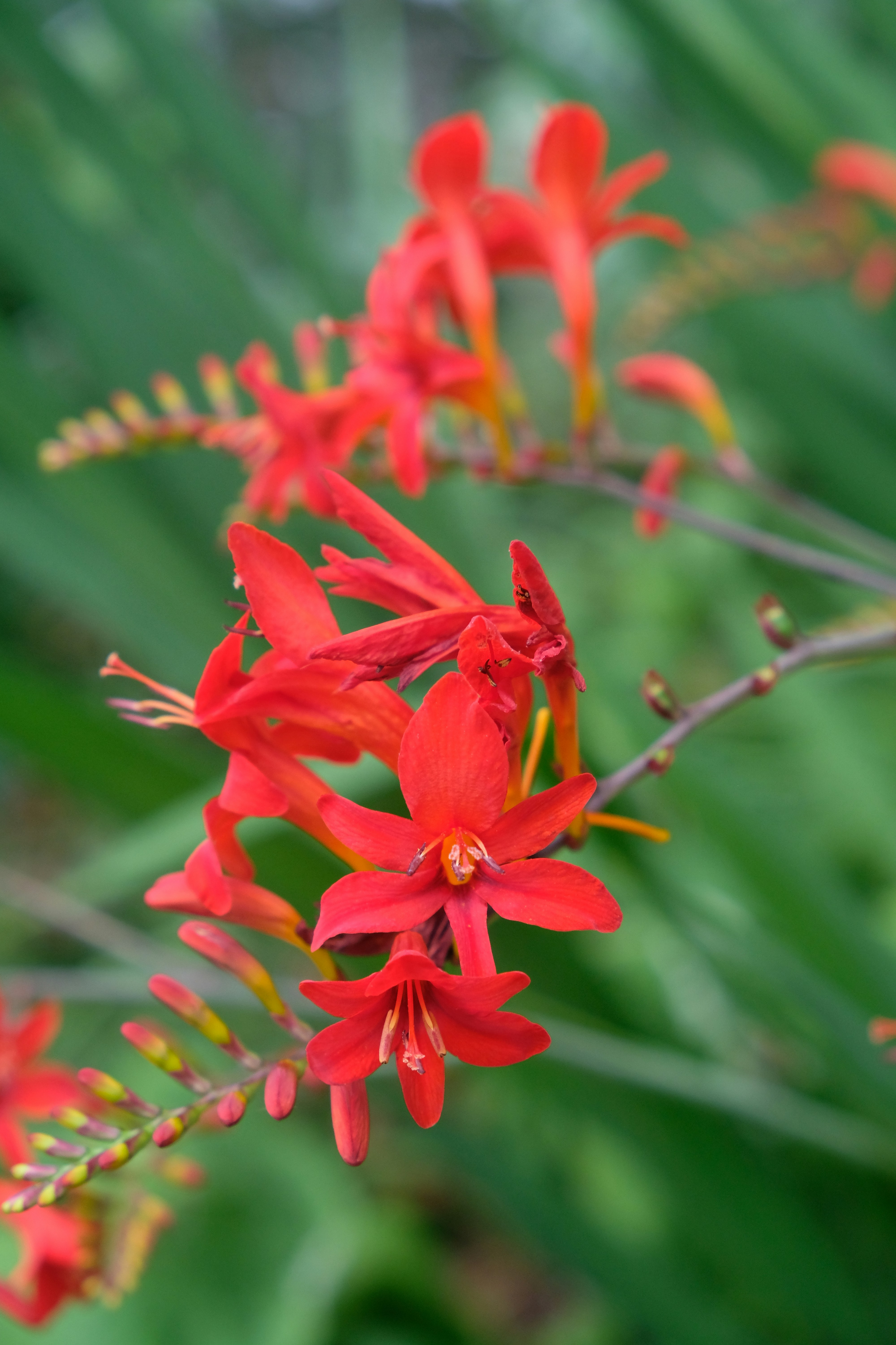 Photo by jay_kettle_williams