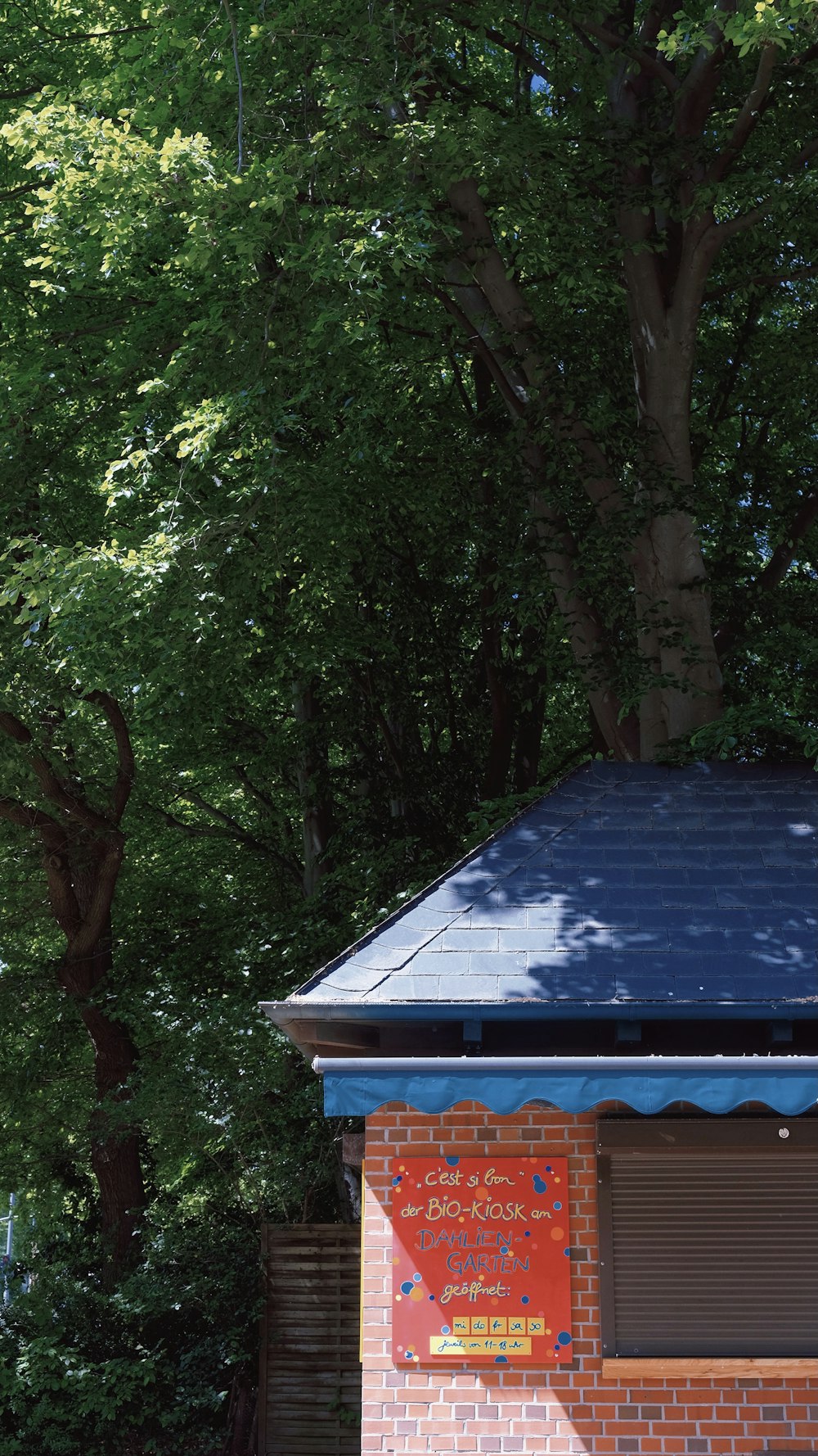 blue roof near green trees during daytime