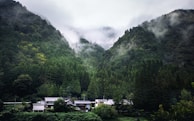 A small village nestled within dense, vibrant green mountains shrouded in mist and fog. The scene conveys a tranquil and serene atmosphere, with lush trees surrounding the village houses that feature traditional architecture.