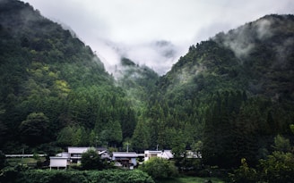A small village nestled within dense, vibrant green mountains shrouded in mist and fog. The scene conveys a tranquil and serene atmosphere, with lush trees surrounding the village houses that feature traditional architecture.