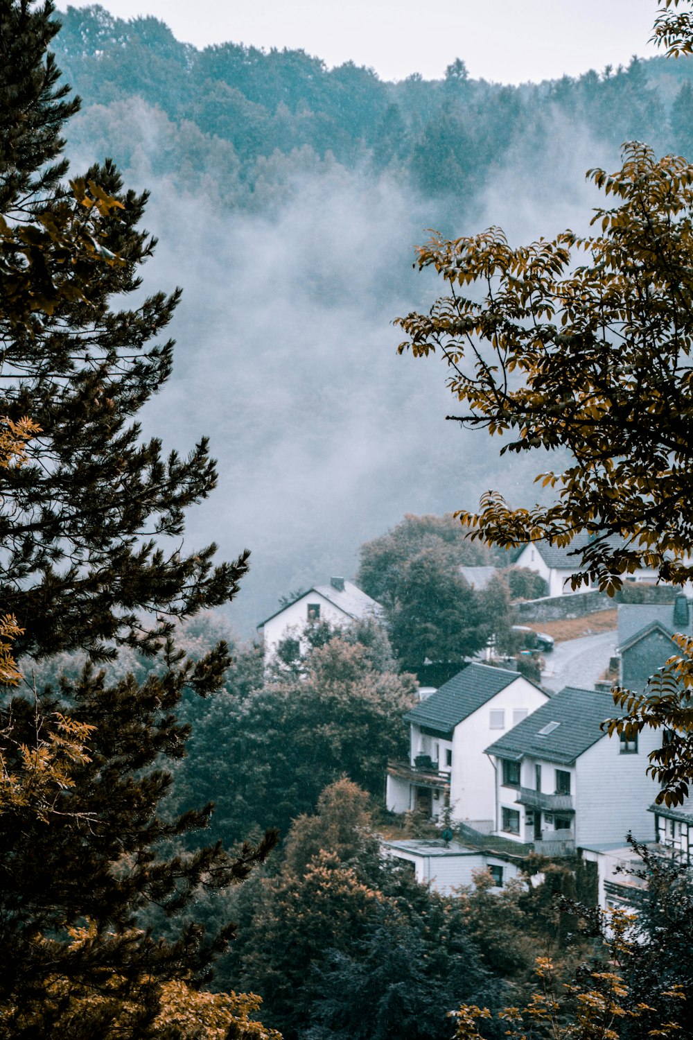 white and gray house near green trees under cloudy sky during daytime