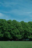 A wide-angle view of The Park in Vermira showcasing open spaces and a peaceful environment.
