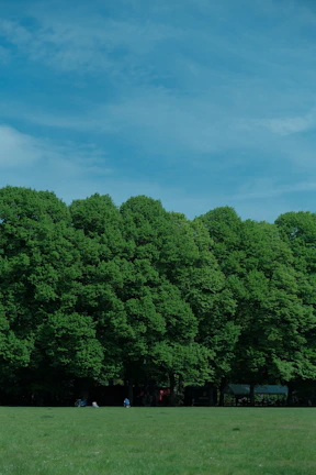 A wide-angle view of The Park in Vermira showcasing open spaces and a peaceful environment.