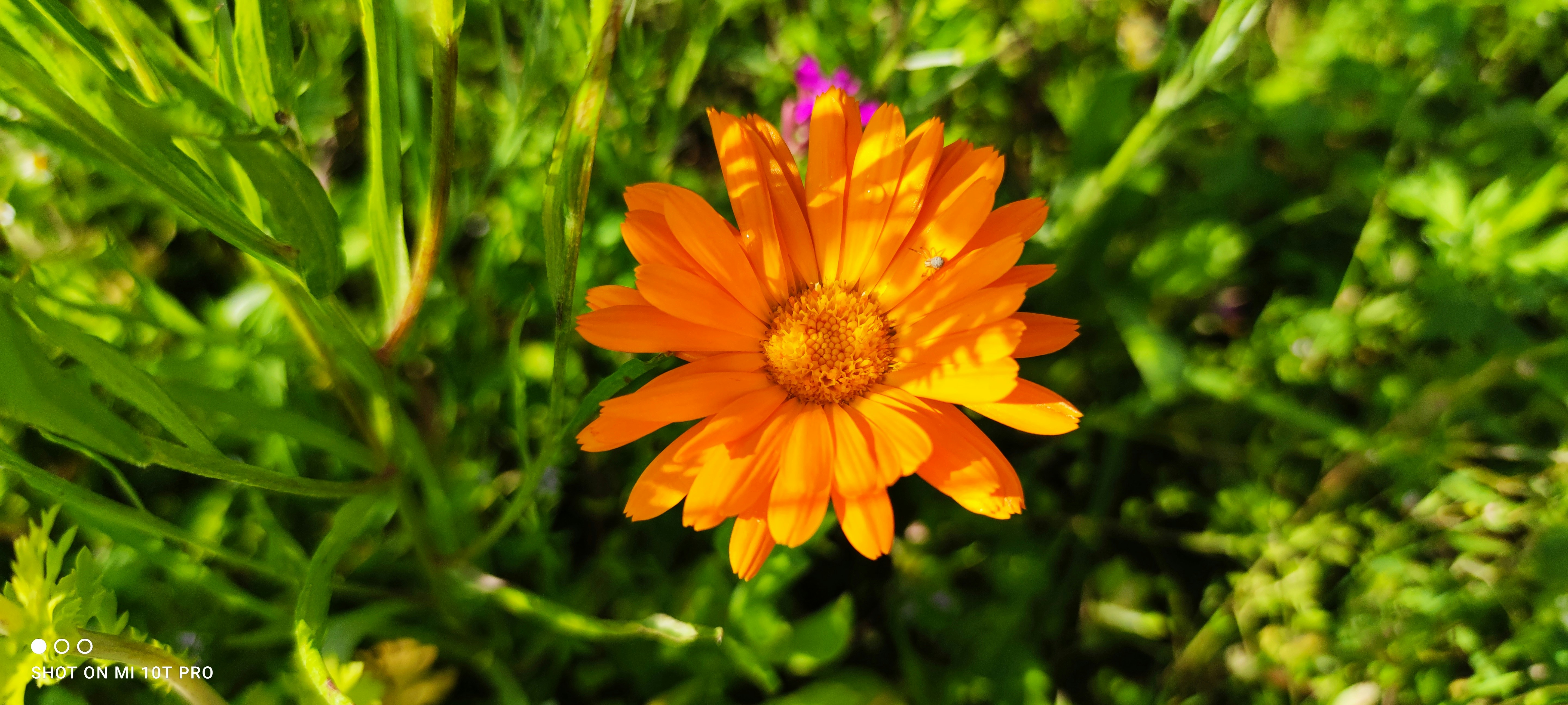 Photo by margitsunnysideup