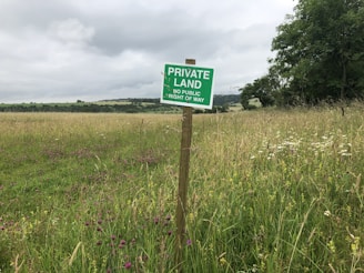 green and white road sign