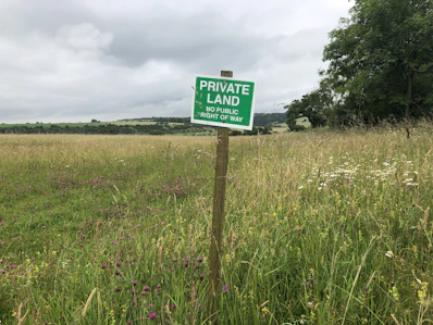 green and white road sign