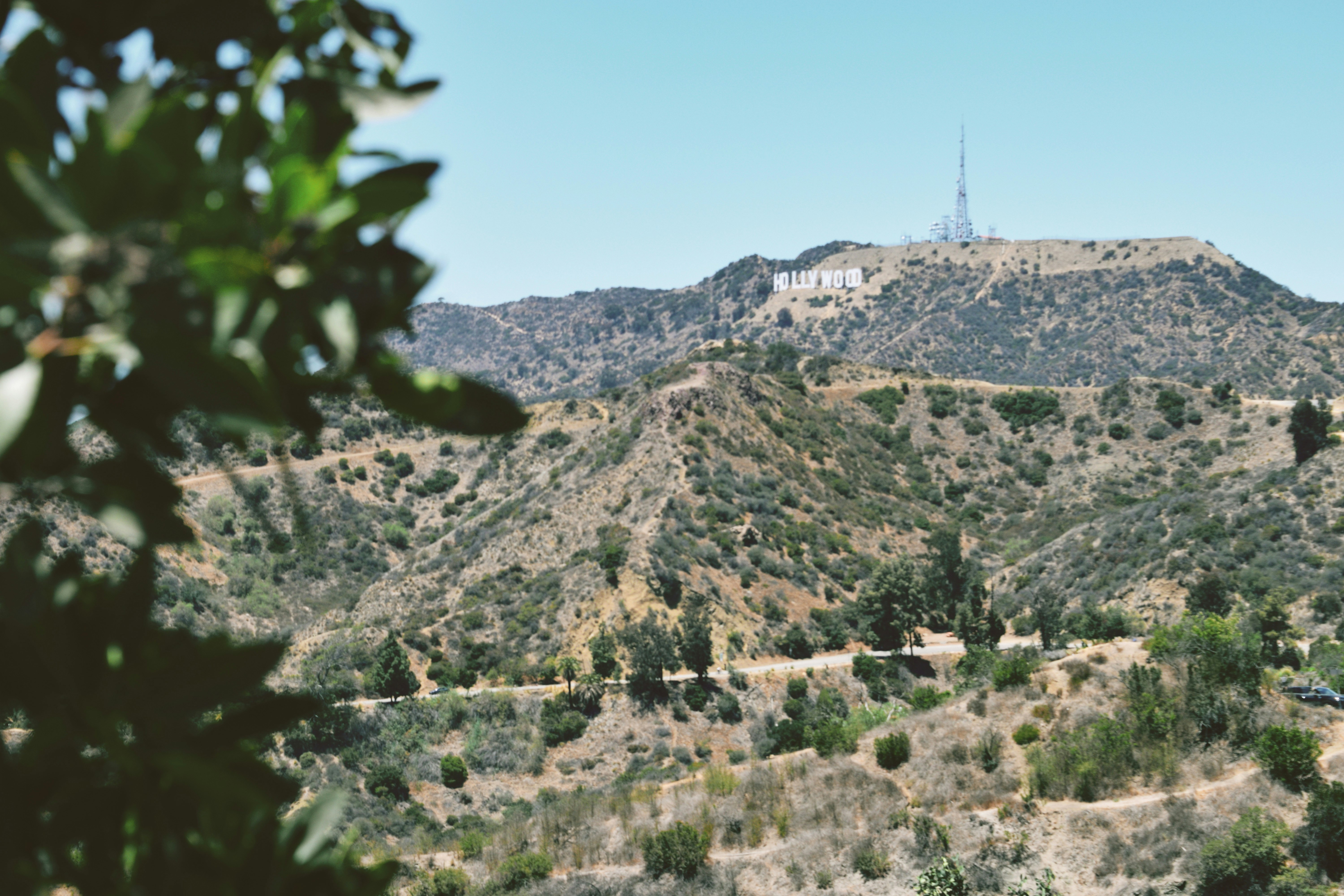 Photo by lauralmartin