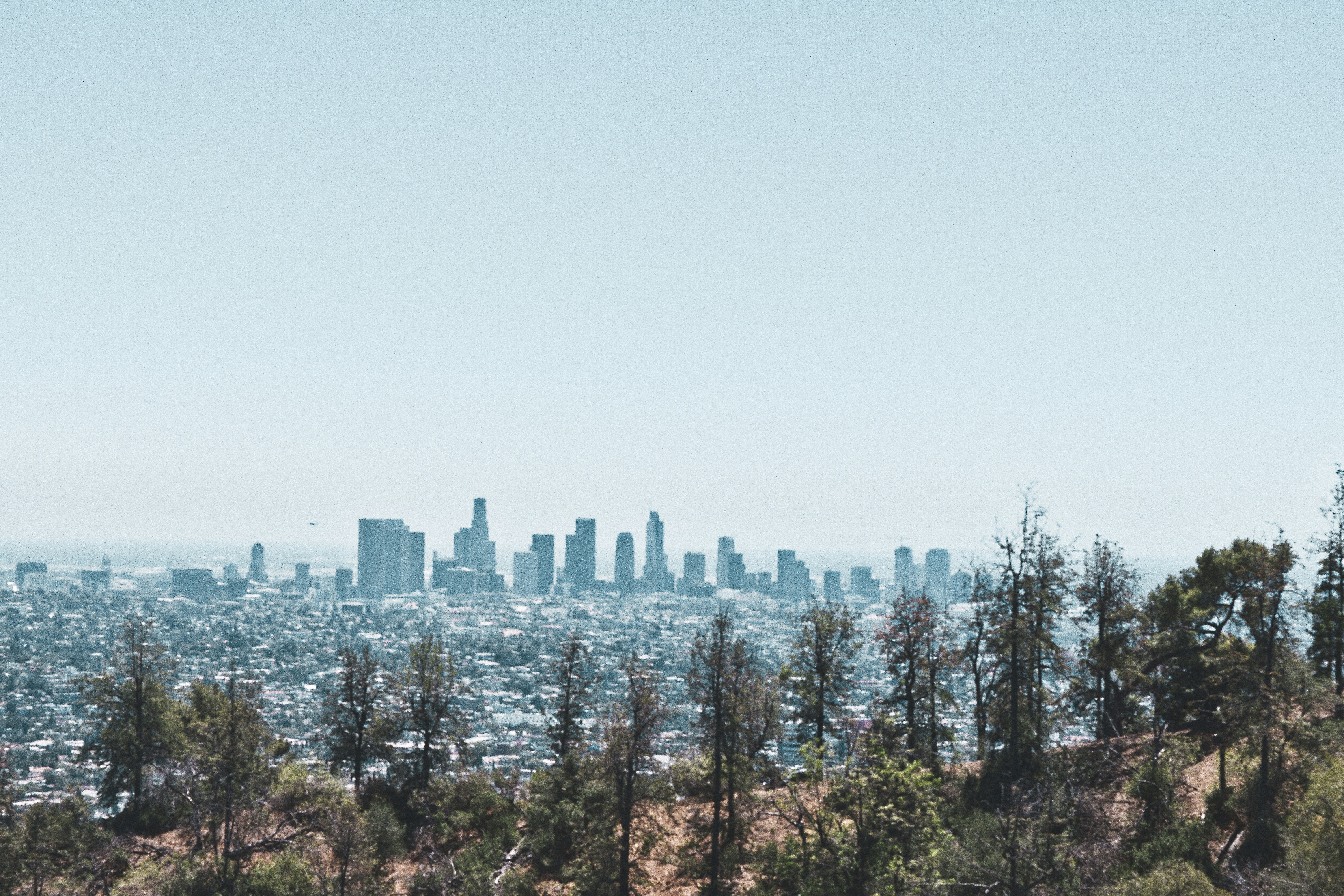 Photo by lauralmartin