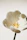 white and yellow flower in close up photography