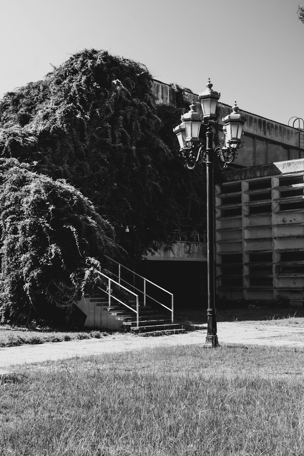 grayscale photo of a black and white lamp post